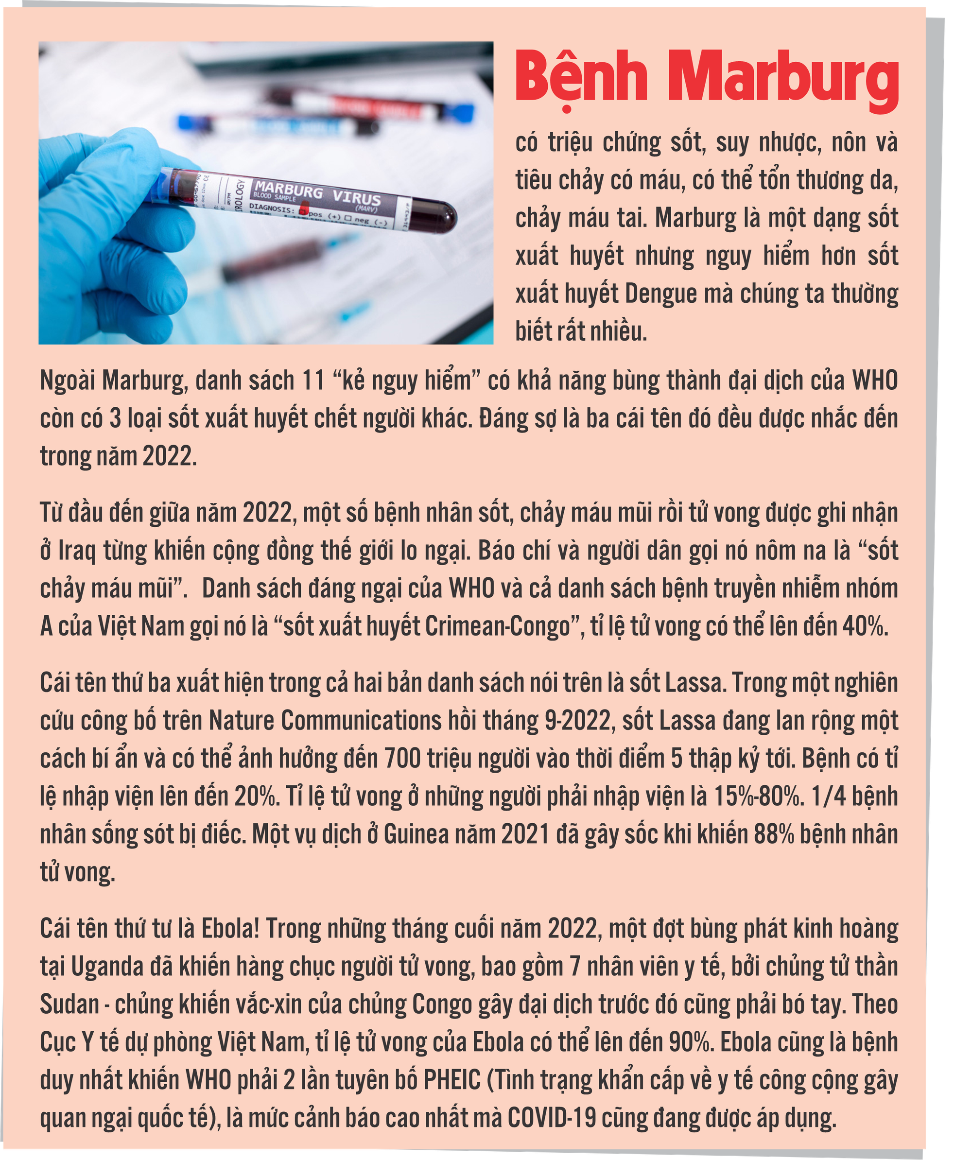 “Lời tiên tri” rùng mình năm 2019 - Ảnh 18.