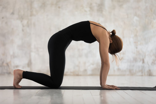 Những động tác yoga giúp lưng thon, bụng dưới săn chắc - Ảnh 6.