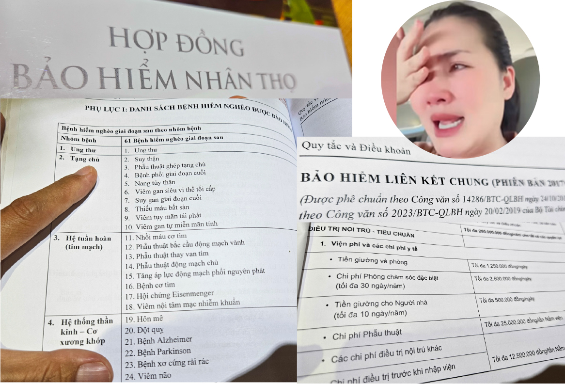 Từ Chuyện Diễn Viên Ngọc Lan: Bịt Ngay Lỗ Hổng Bảo Hiểm Nhân Thọ! - Báo  Người Lao Động