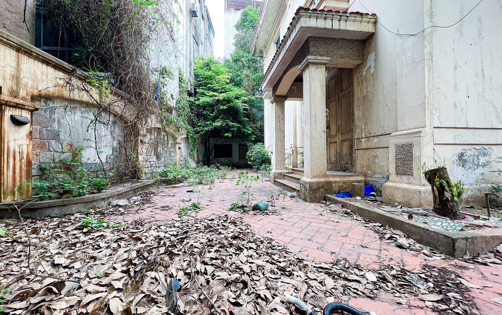 Bên trong cảnh hoang tàn của nhiều biệt thự cũ ở Hà Nội - Ảnh 6.