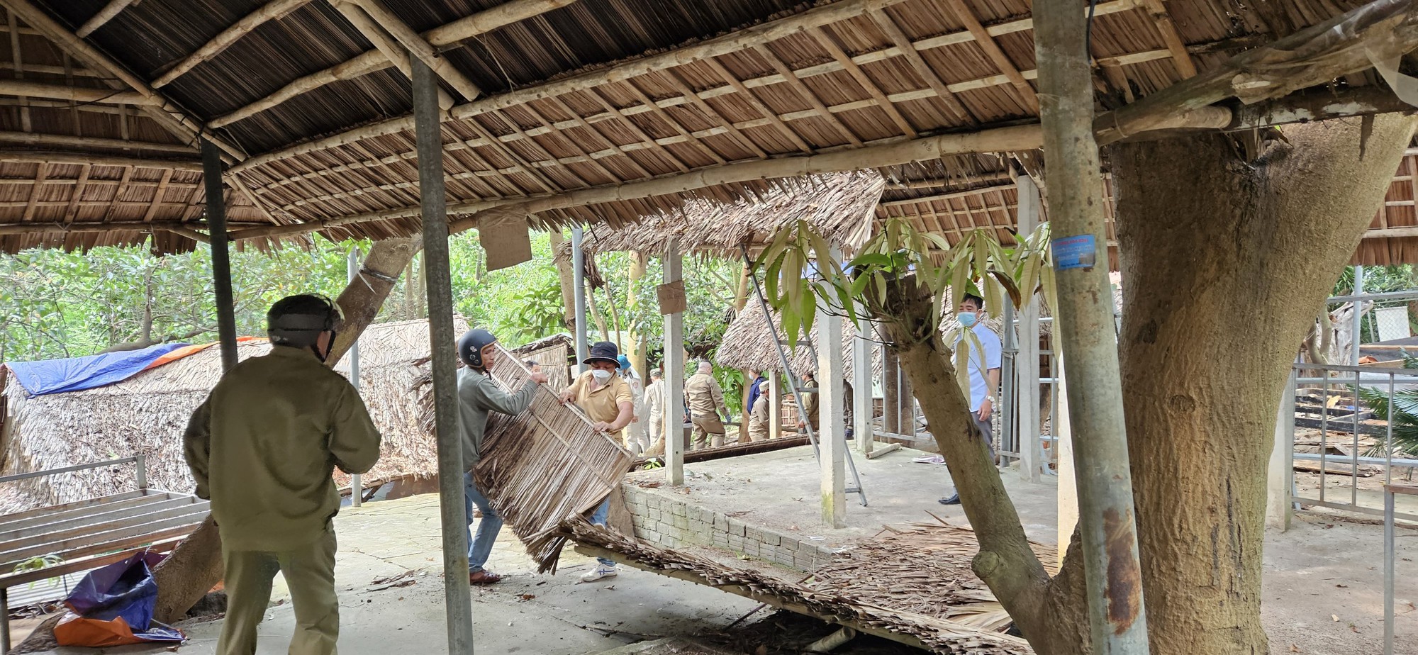 Đà Nẵng cưỡng chế loạt công trình trái phép ở bán đảo Sơn Trà - Ảnh 2.