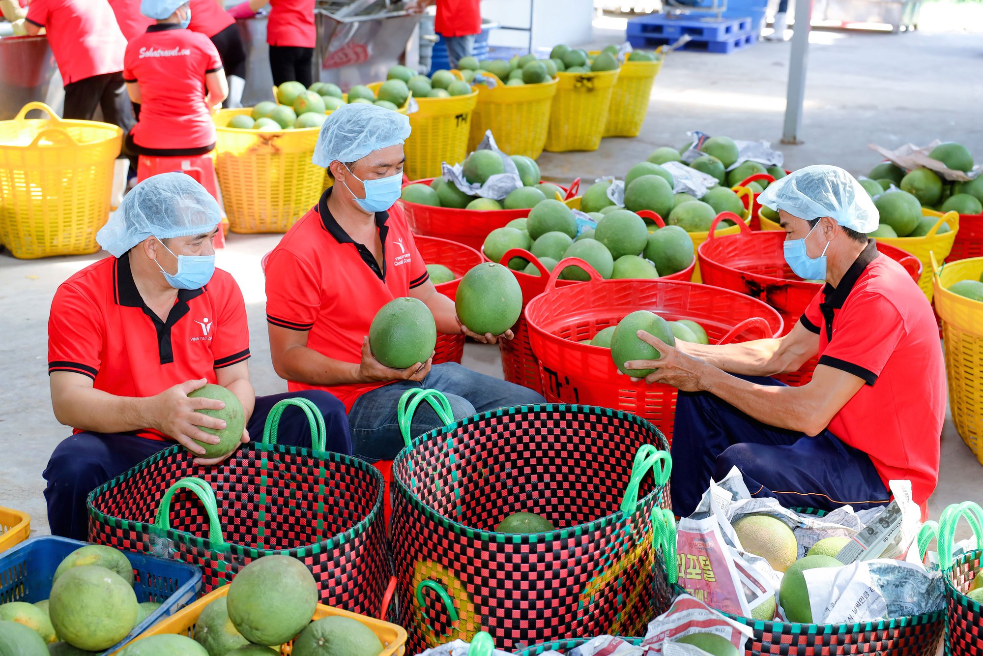 Bài toán xuất khẩu tiểu ngạch sang Trung Quốc (*): Cơ hội cho người tiên phong