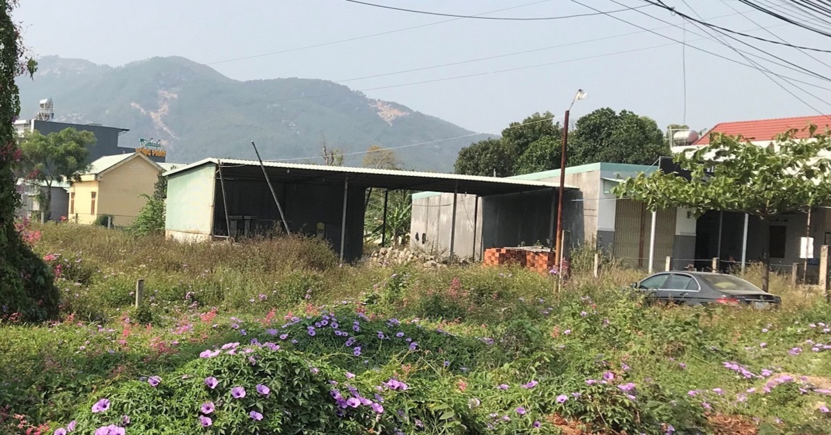 Chiếm đất của dân, một trưởng phòng ở Bình Định bị kỷ luật - Ảnh 1.