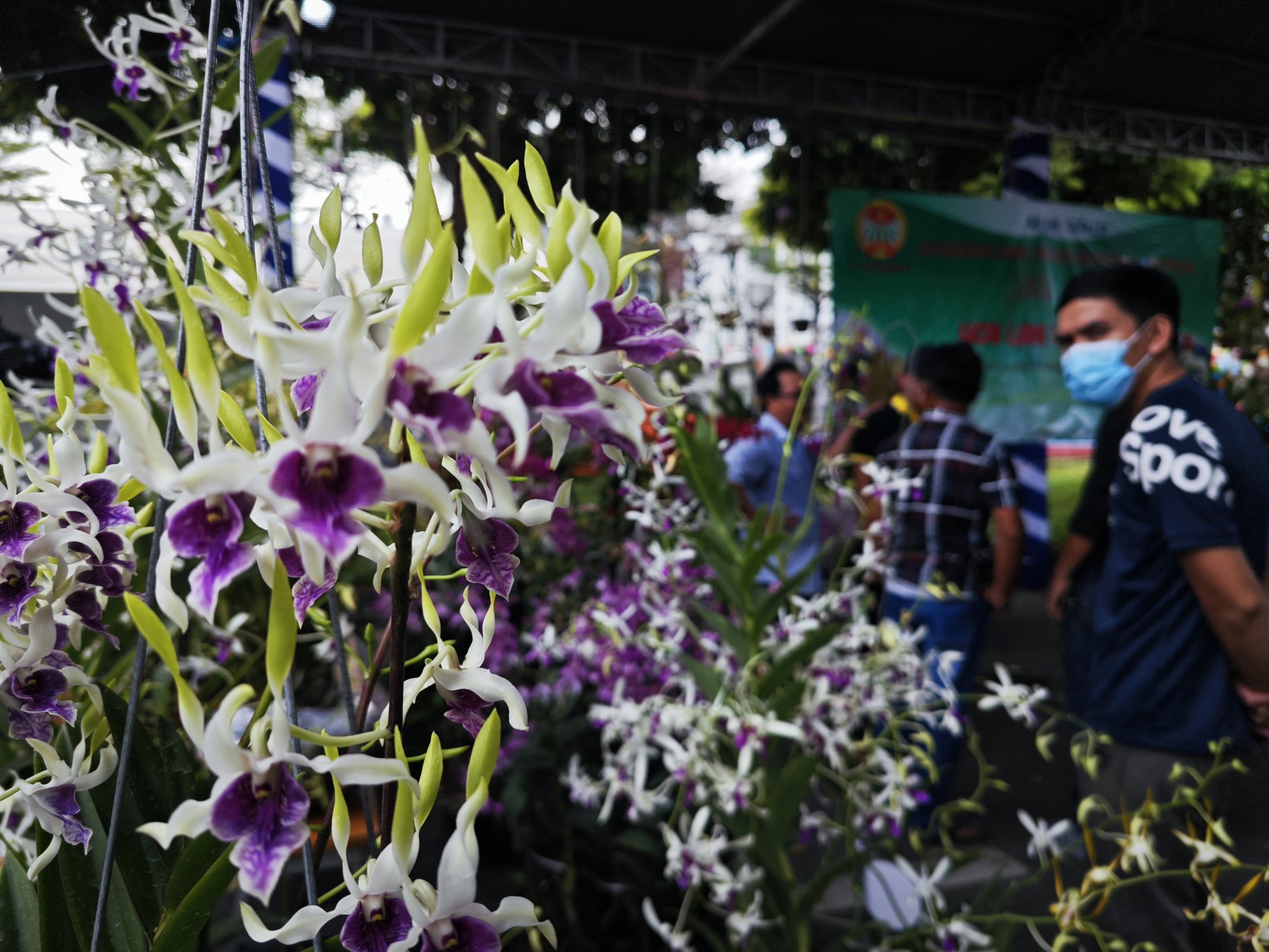 Ngỡ ngàng với hoa đẹp tại hội chợ sản phẩm nông nghiệp - Ảnh 6.