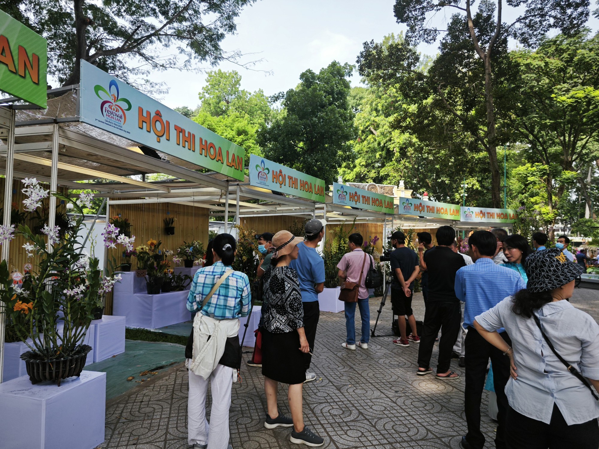 Festival Hoa lan TP HCM 2023 đang mở cửa đón khách - Ảnh 5.