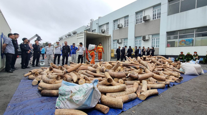 Phó Thủ tướng Trần Lưu Quang gửi thư khen vụ bắt hơn 7 tấn ngà voi tại Hải Phòng - Ảnh 1.