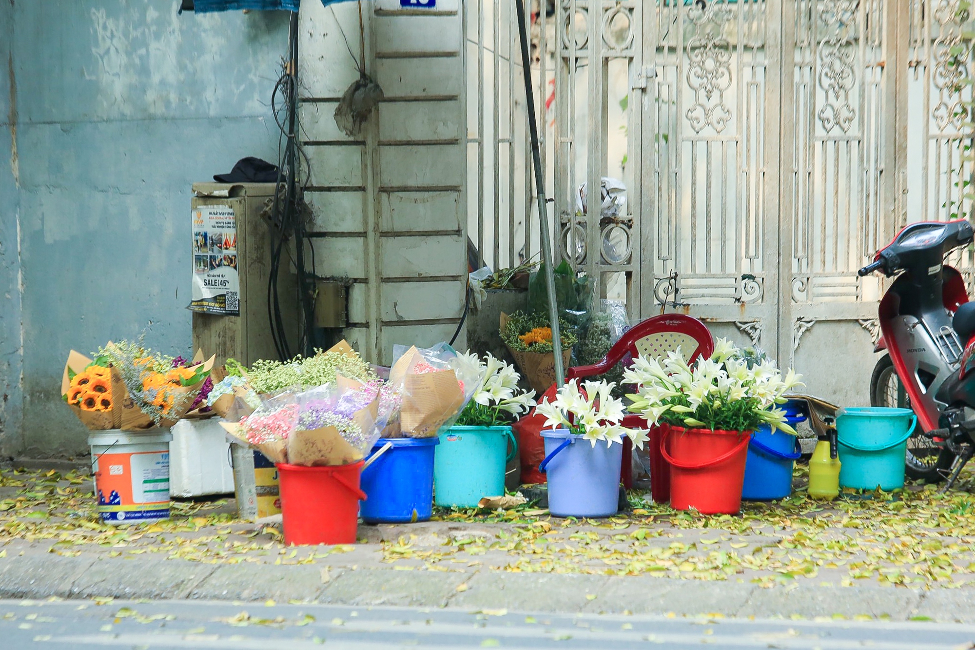 Thiếu nữ khoe sắc bên hoa loa kèn trắng tinh khôi, hương thơm dịu dàng - Ảnh 4.