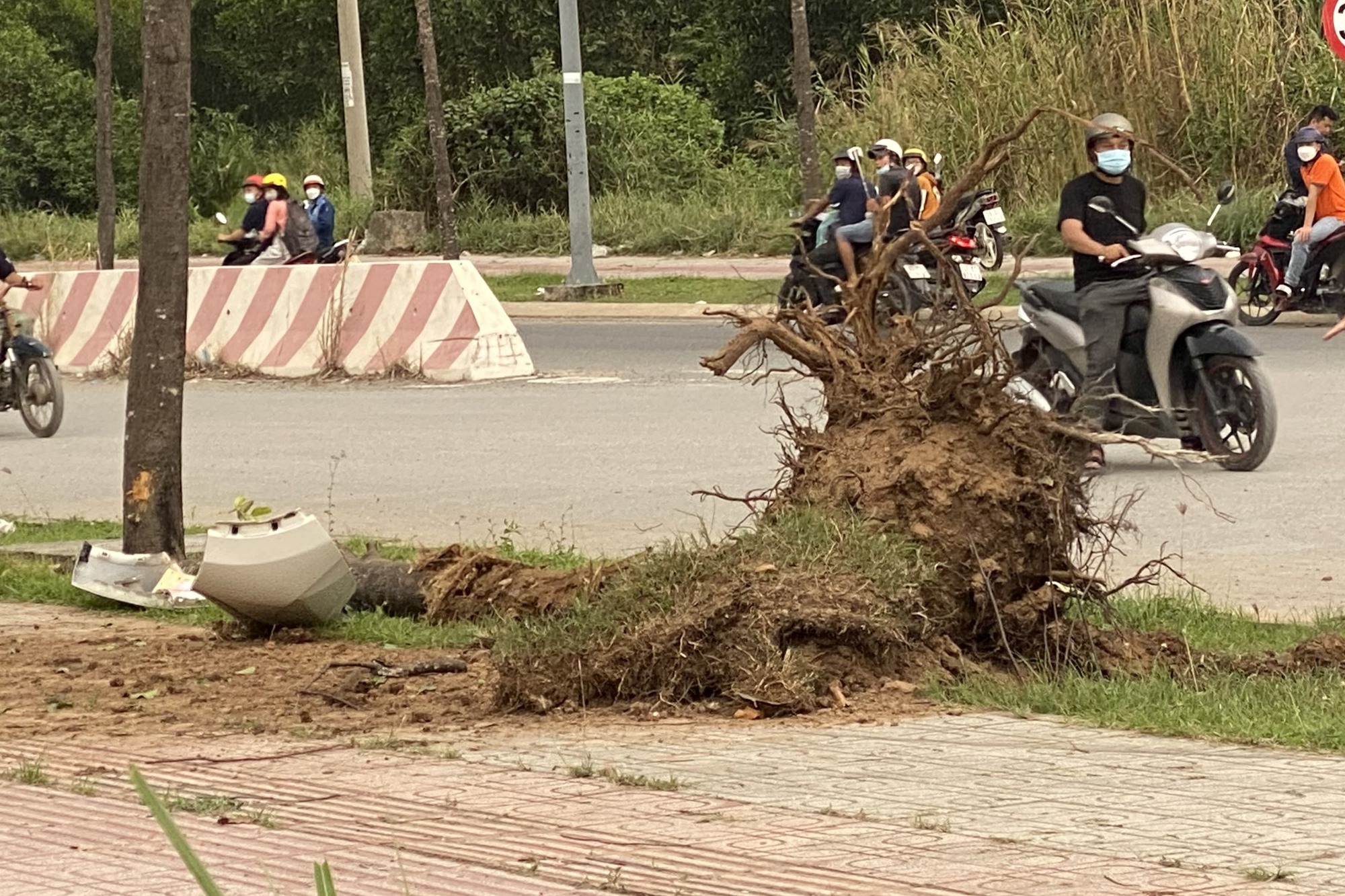 Ôtô lao lên vỉa hè, tông cây xanh bật gốc rồi nhào lộn - Ảnh 2.