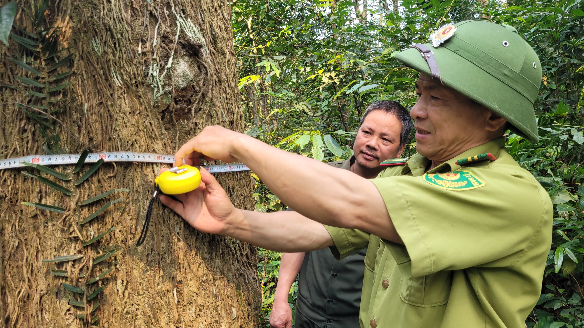 숲을 보존하는 방법을 아는 것은 숲을 보존하는 데 도움이 될 것입니다 - 사진 2. Biết cách sẽ giữ được rừng - Ảnh 2.