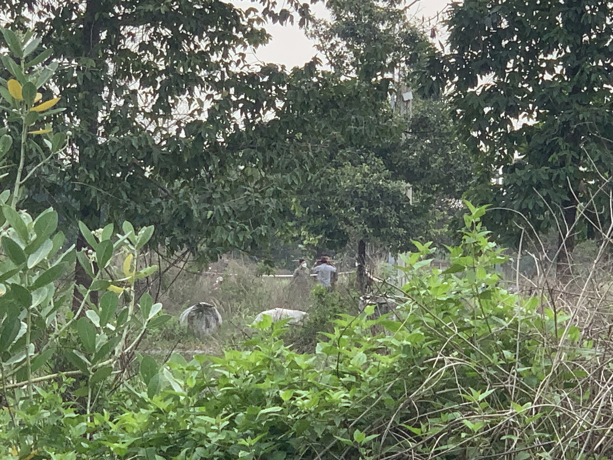 Vụ phát hiện 2 đoạn chân ở Bình Dương: Đề nghị Cục Cảnh sát hình sự phối hợp điều tra - Ảnh 2. Vụ phát hiện 2 đoạn chân ở Bình Dương: Đề nghị Cục Cảnh sát hình sự phối hợp điều tra - Ảnh 2.