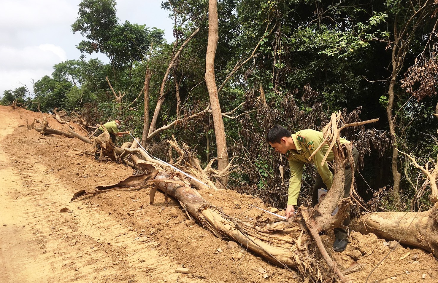 Hàng ngàn m2 rừng bị phá để làm đường khi chưa được cơ quan chức năng cấp phép - Ảnh 1.
