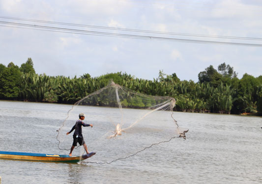 Kè xanh phòng sạt lở - Ảnh 2.