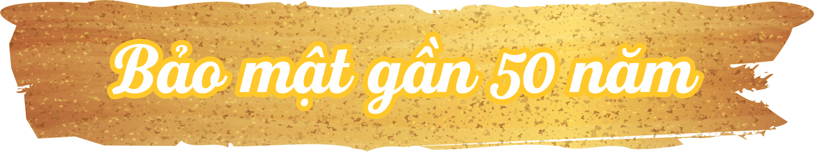 Cận cảnh bảo vật quốc gia: Sách vàng triều Nguyễn quý giá - Ảnh 6.