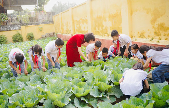 Cuộc thi viết Người thầy kính yêu: Ngọn nến mong manh, ánh lửa rực rỡ - Ảnh 2.