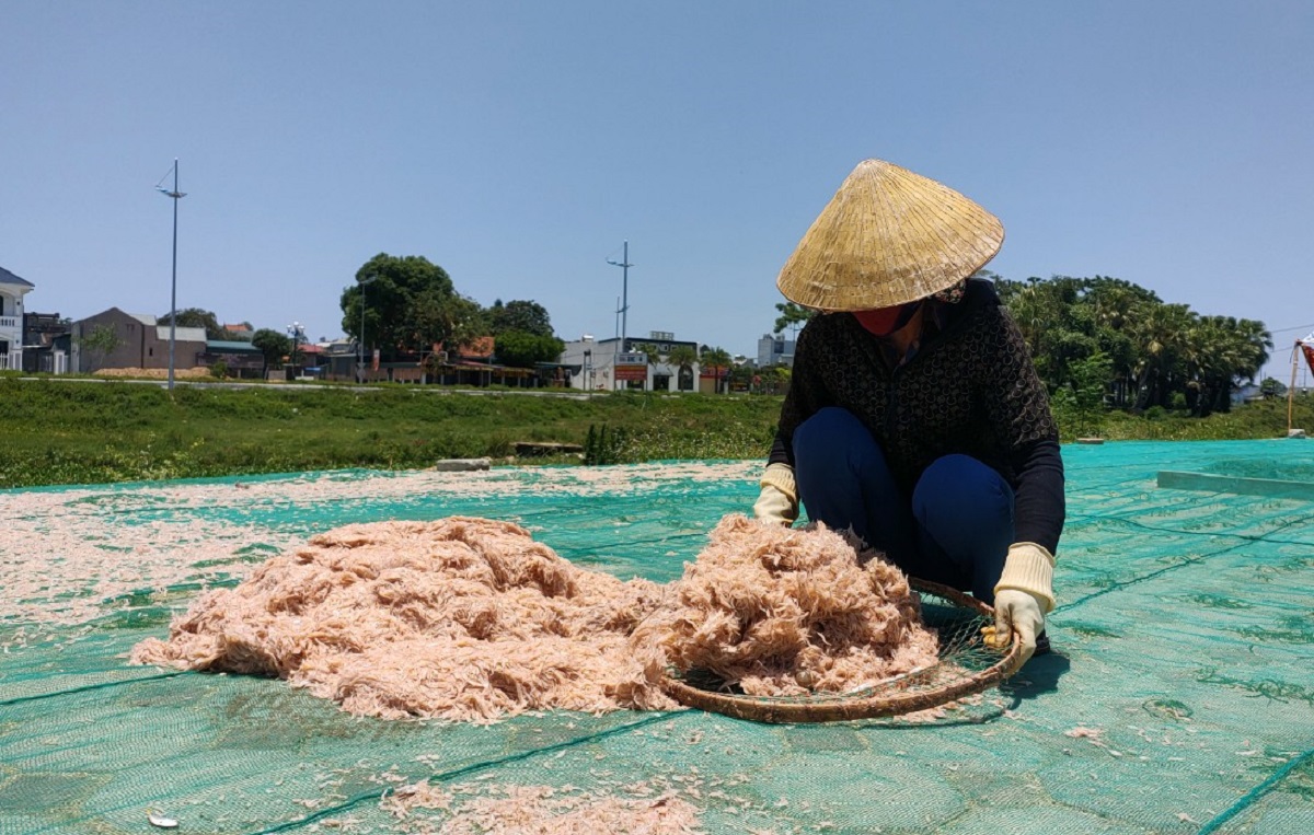 Nắng như đổ lửa, ngư dân Thanh Hóa vẫn lao ra biển mưu sinh - Ảnh 10.