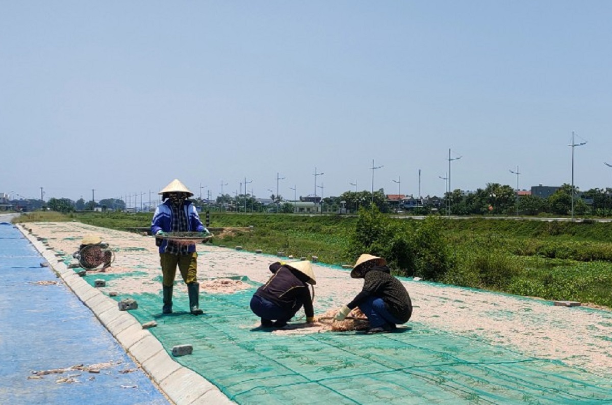 Nắng như đổ lửa, ngư dân Thanh Hóa vẫn lao ra biển mưu sinh - Ảnh 11.