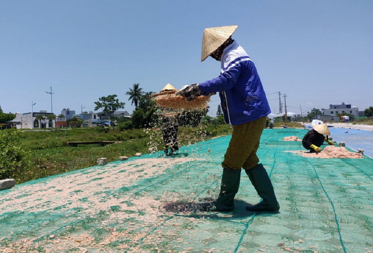 Nắng như đổ lửa, ngư dân Thanh Hóa vẫn lao ra biển mưu sinh - Ảnh 9.