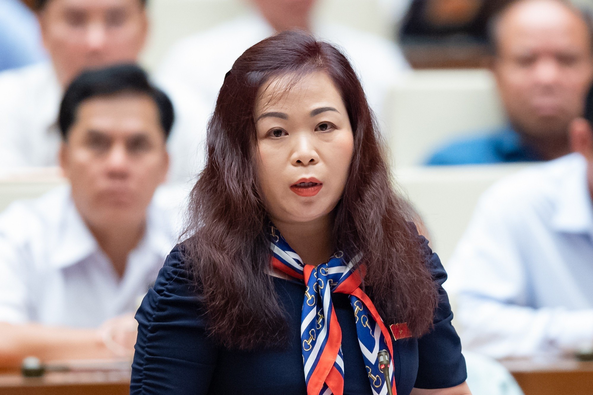 Nữ đại biểu chất vấn việc chi hàng trăm tỉ đồng cho các hội thảo, tập huấn - Ảnh 1. Nữ đại biểu chất vấn việc chi hàng trăm tỉ đồng cho các hội thảo, tập huấn - Ảnh 1.