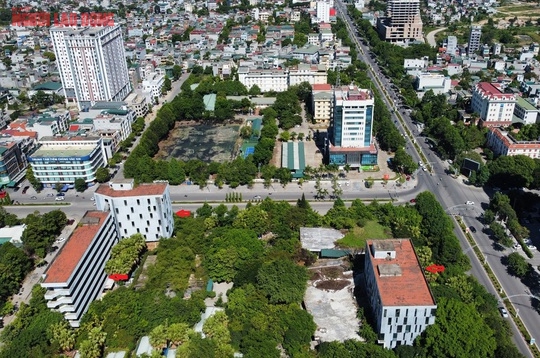 Dự án trường học chết yểu, 4 ha đất vàng để hoang suốt 10 năm giữa lòng TP Thanh Hóa - Ảnh 6.