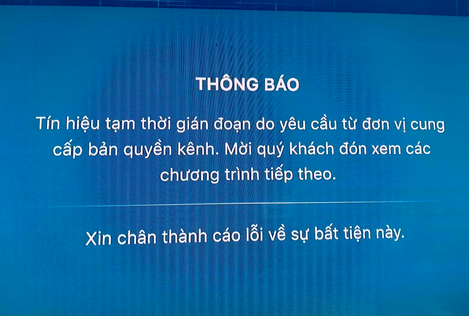 Xem truyền hình trực tiếp trận Việt Nam - Mỹ trên kênh nào? - Ảnh 1.