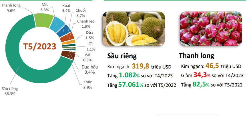 Xuất khẩu sầu riêng sang Trung Quốc tăng 10 lần trong 1 tháng - Ảnh 3.