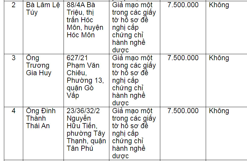 Nhiều cá nhân giả mạo chứng chỉ hành nghề dược - Ảnh 1.