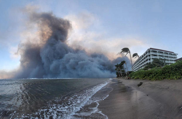 The unexpected truth about the wildfire disaster in Hawaii - photo 12.