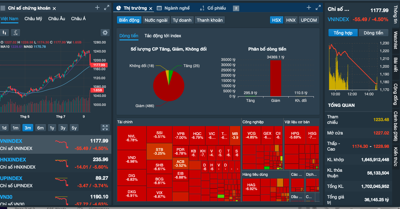 Gần 280 mã chứng khoán giảm sàn, VN-Index lao dốc 55 điểm - Ảnh 1.
