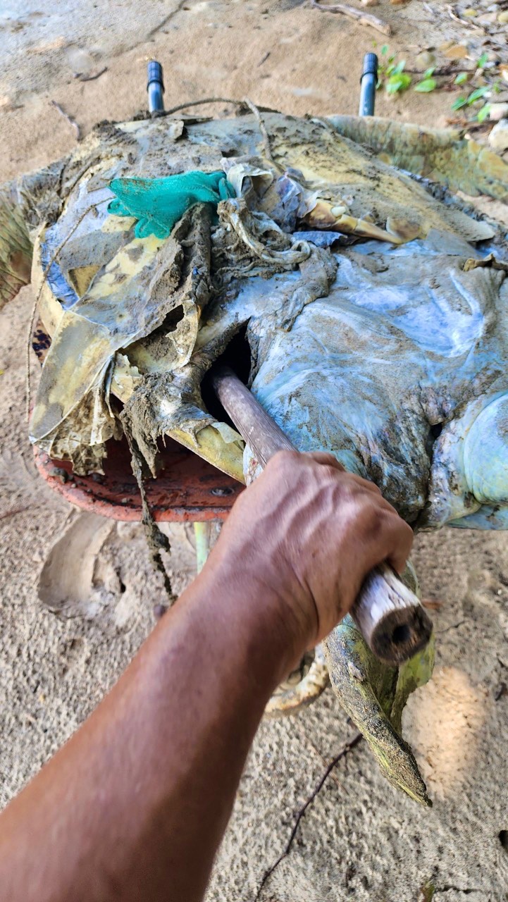 Hình ảnh rùa biển 85kg nghi bị giết để lấy trứng khiến nhiều người bức xúc - Ảnh 2.