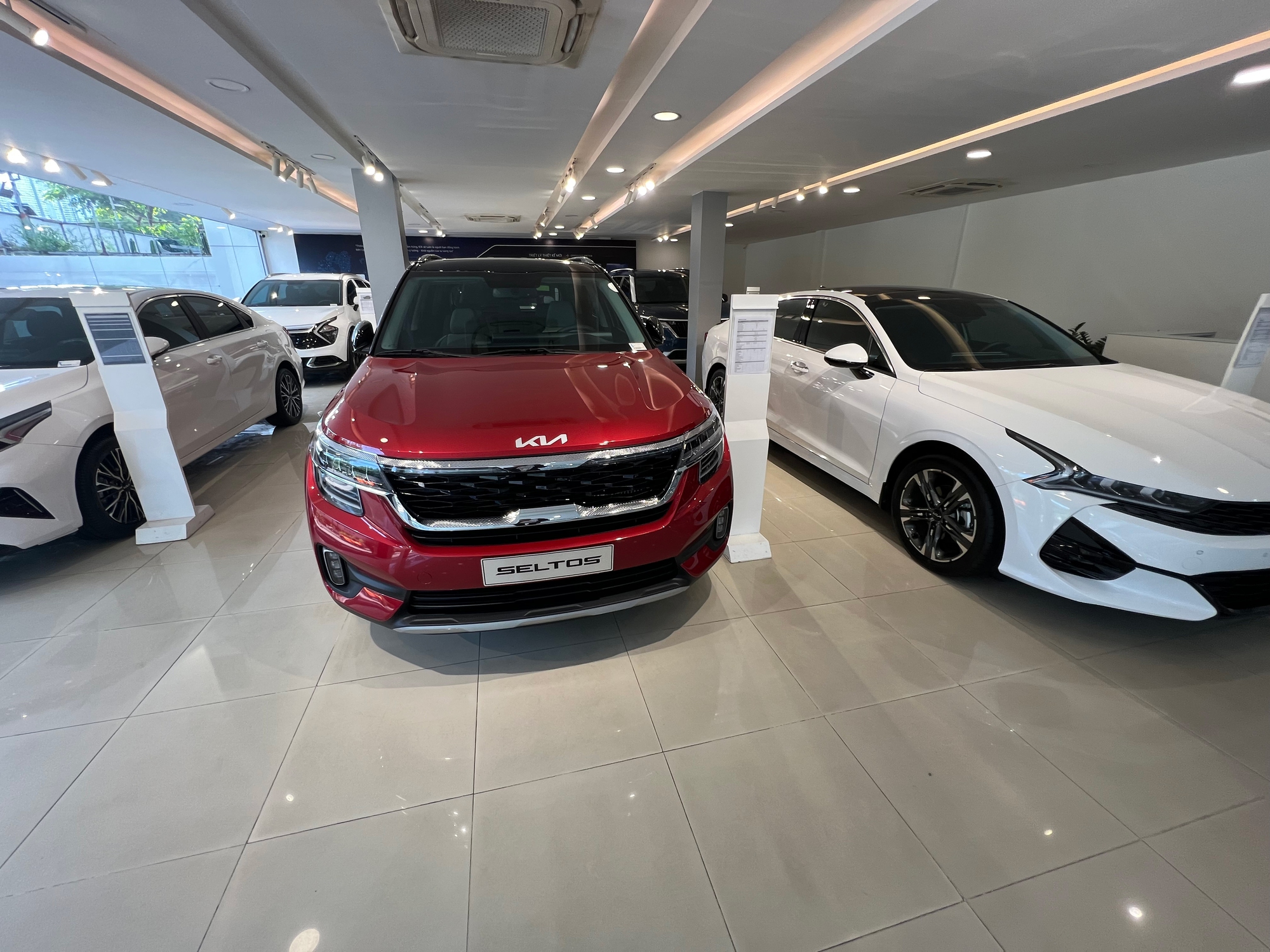 Thị Trường Ô Tô Điện