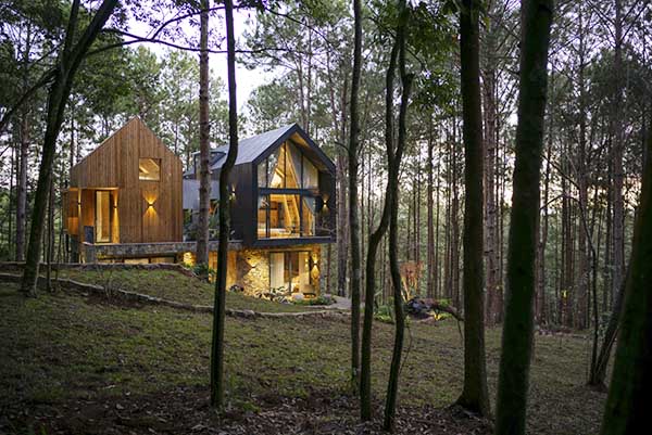 Biệt thự làm từ gỗ, đá rối nằm giữa rừng thông