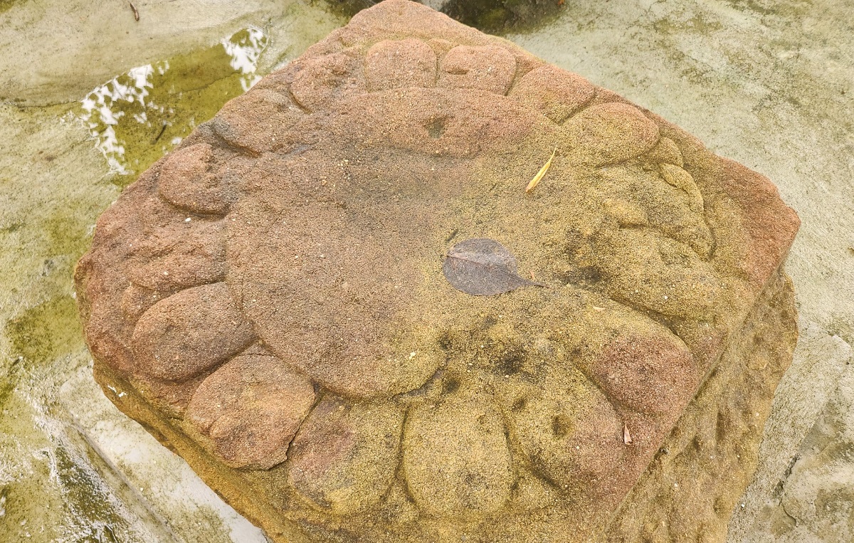 Nhiều hiện vật độc đáo lần đầu được thấy ở Thành nhà Hồ - Ảnh 8.