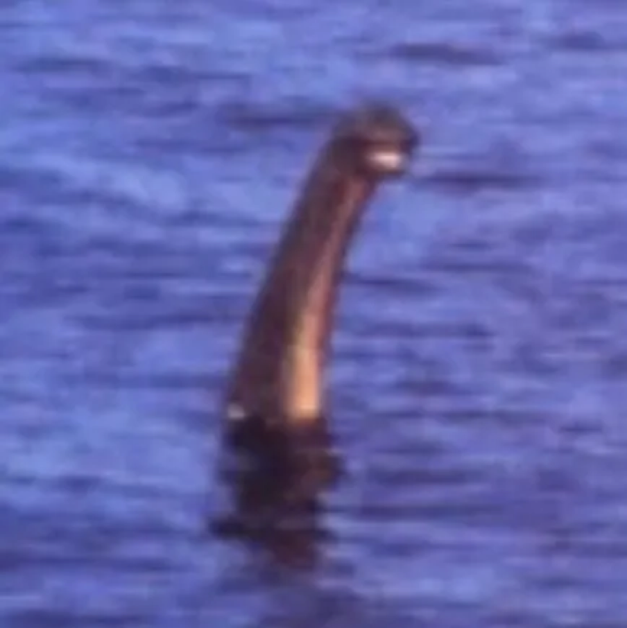 The latest photo of the mysterious monster in Loch Ness - Photo 8.