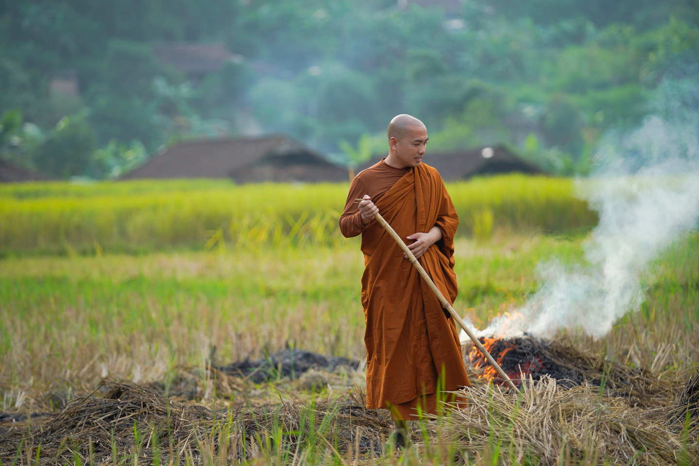 Sư Thích Minh Niệm: Hãy “nhảy múa cùng mùa”! - Ảnh 3.
