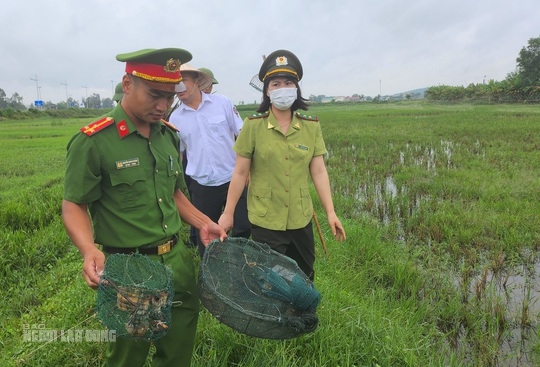 Bẫy tàn sát chim trời đã sạch bóng trên các cánh đồng ở Thanh Hóa - Ảnh 3.