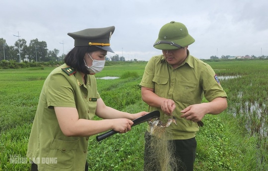 Bẫy tàn sát chim trời đã sạch bóng trên các cánh đồng ở Thanh Hóa - Ảnh 7.