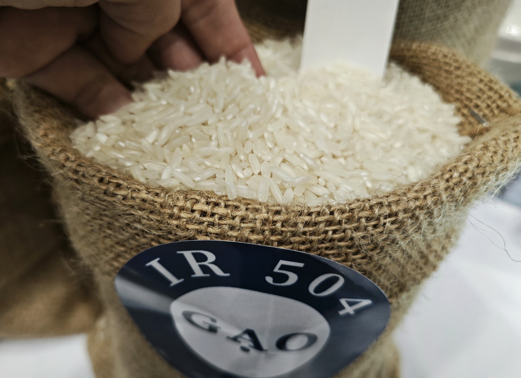Lý do giá gạo xuất khẩu Việt Nam đột ngột rời đỉnh - Ảnh 2.