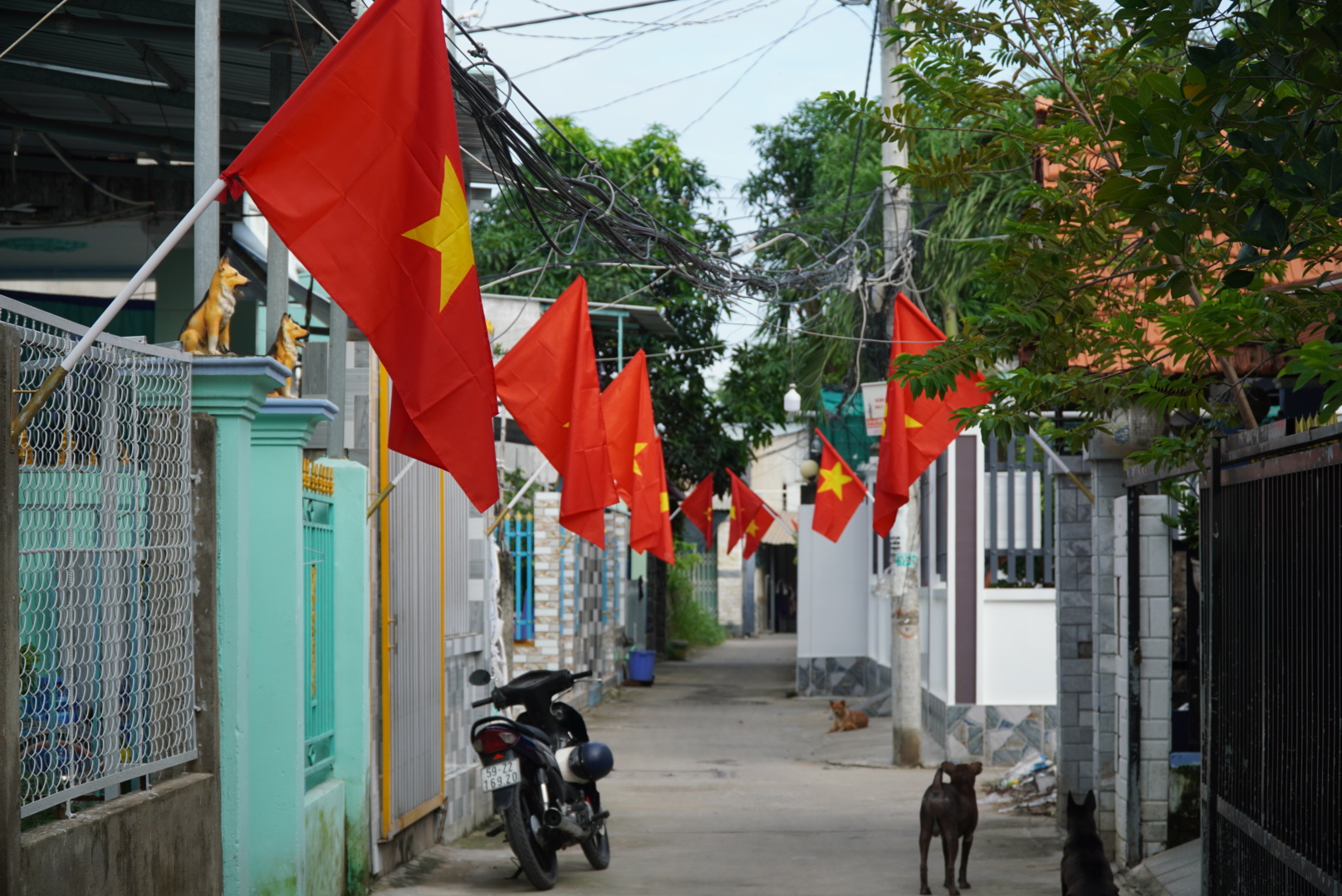 Ấn tượng “Đường cờ Tổ quốc” ở xã Bình Khánh, huyện Cần Giờ - Ảnh 2.