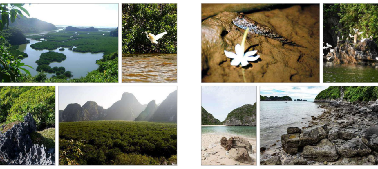 Vịnh Hạ Long - Quần đảo Cát Bà được công nhận là Di sản Thiên nhiên thế giới - Ảnh 5.