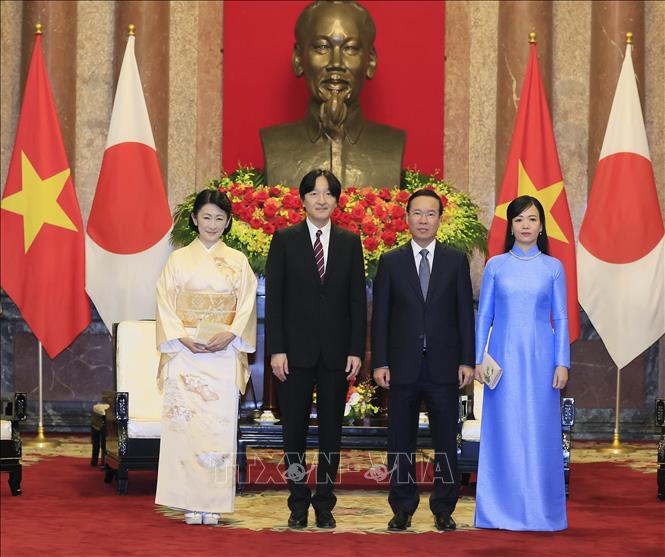 Chủ tịch nước và Phu nhân tiếp Hoàng Thái tử Nhật Bản và Công nương - Ảnh 5.