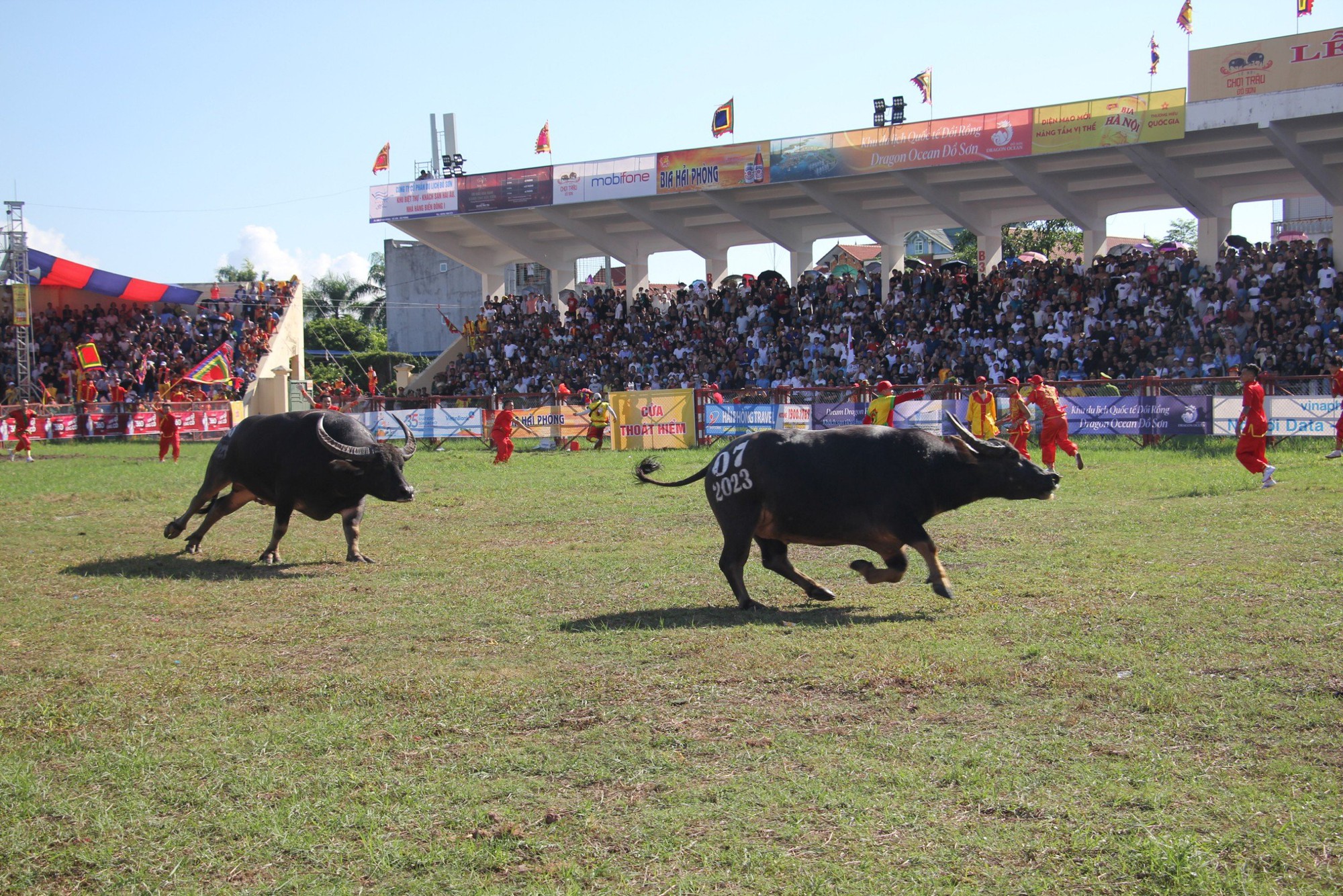 Hàng vạn du khách nườm nượp tới Đồ Sơn xem Lễ hội chọi trâu - Ảnh 6.