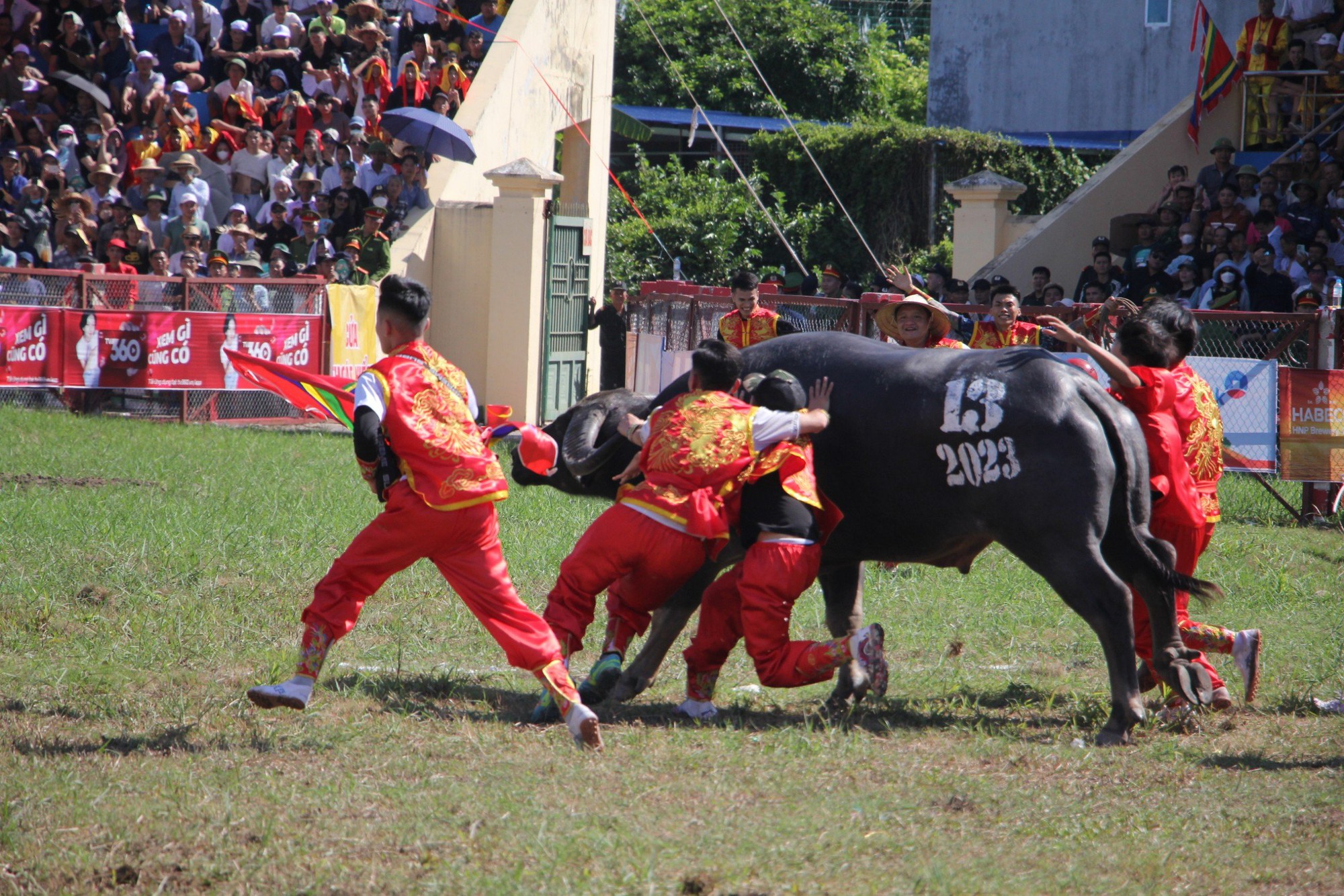 Hàng vạn du khách nườm nượp tới Đồ Sơn xem Lễ hội chọi trâu - Ảnh 9.
