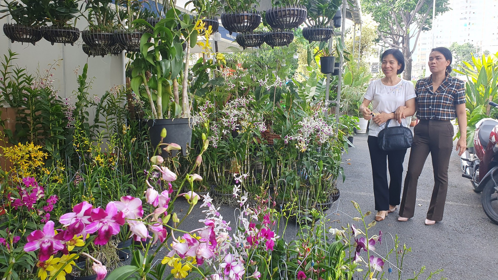 TP HCM: Khám chữa bệnh miễn phí cho thú cưng, trưng bày chim săn mồi tại Tuần lễ sinh vật cảnh 2023 - Ảnh 13.