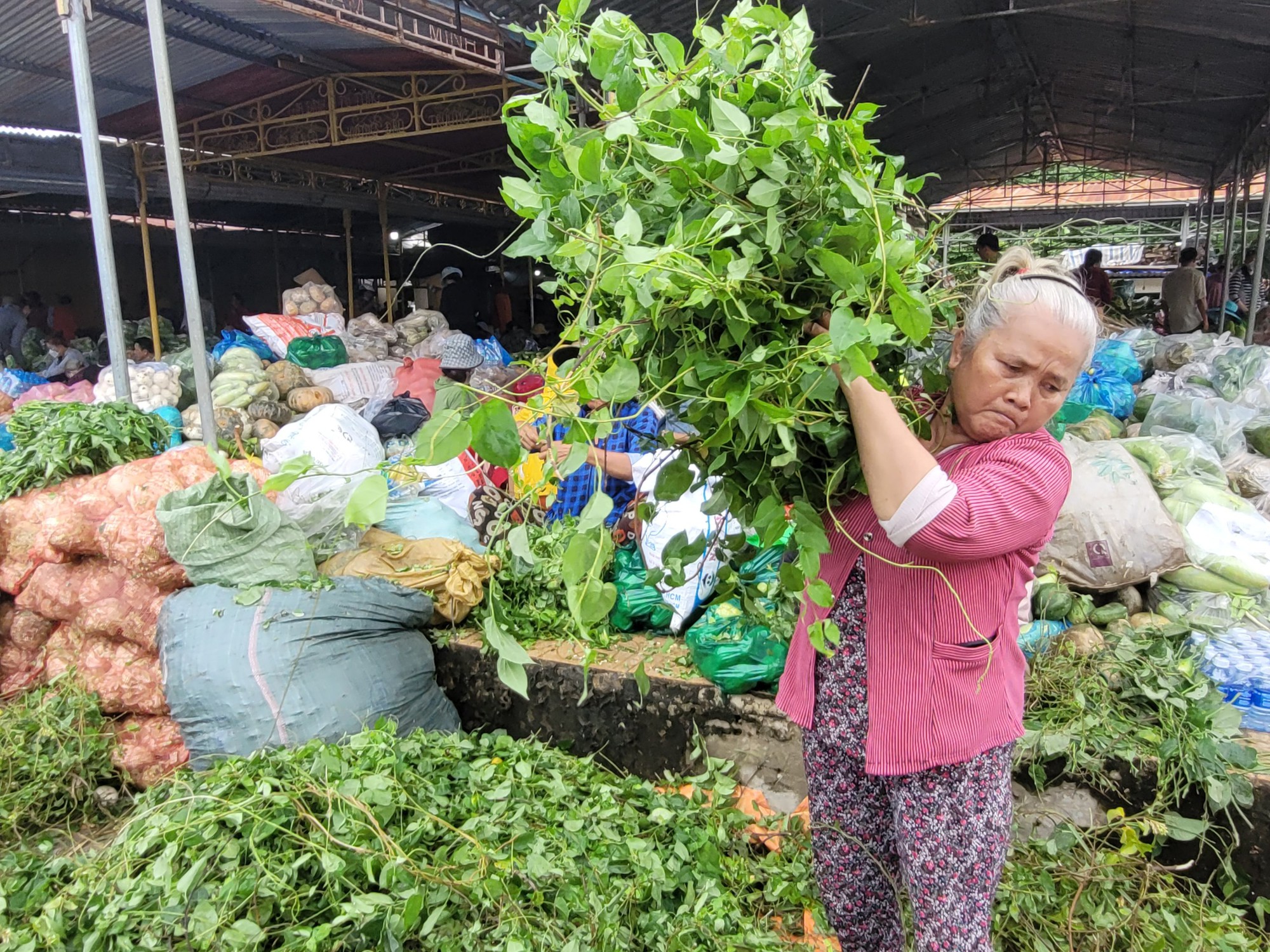 Những hình ảnh ấn tượng tại Tây Ninh - Ảnh 8.