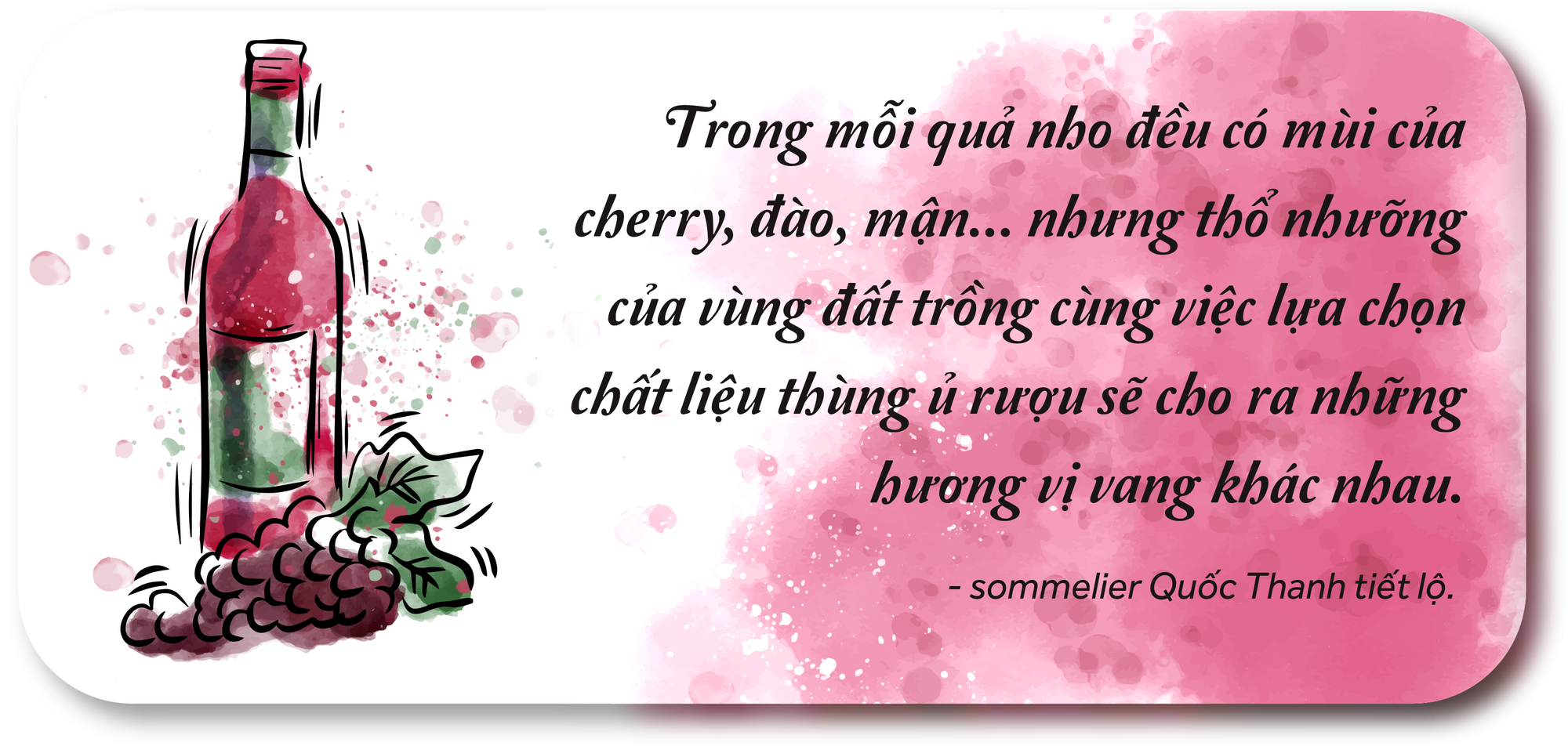 Nghề đang “hot”: Sự tinh tế, nhạy cảm của người nếm rượu vang - Ảnh 5.