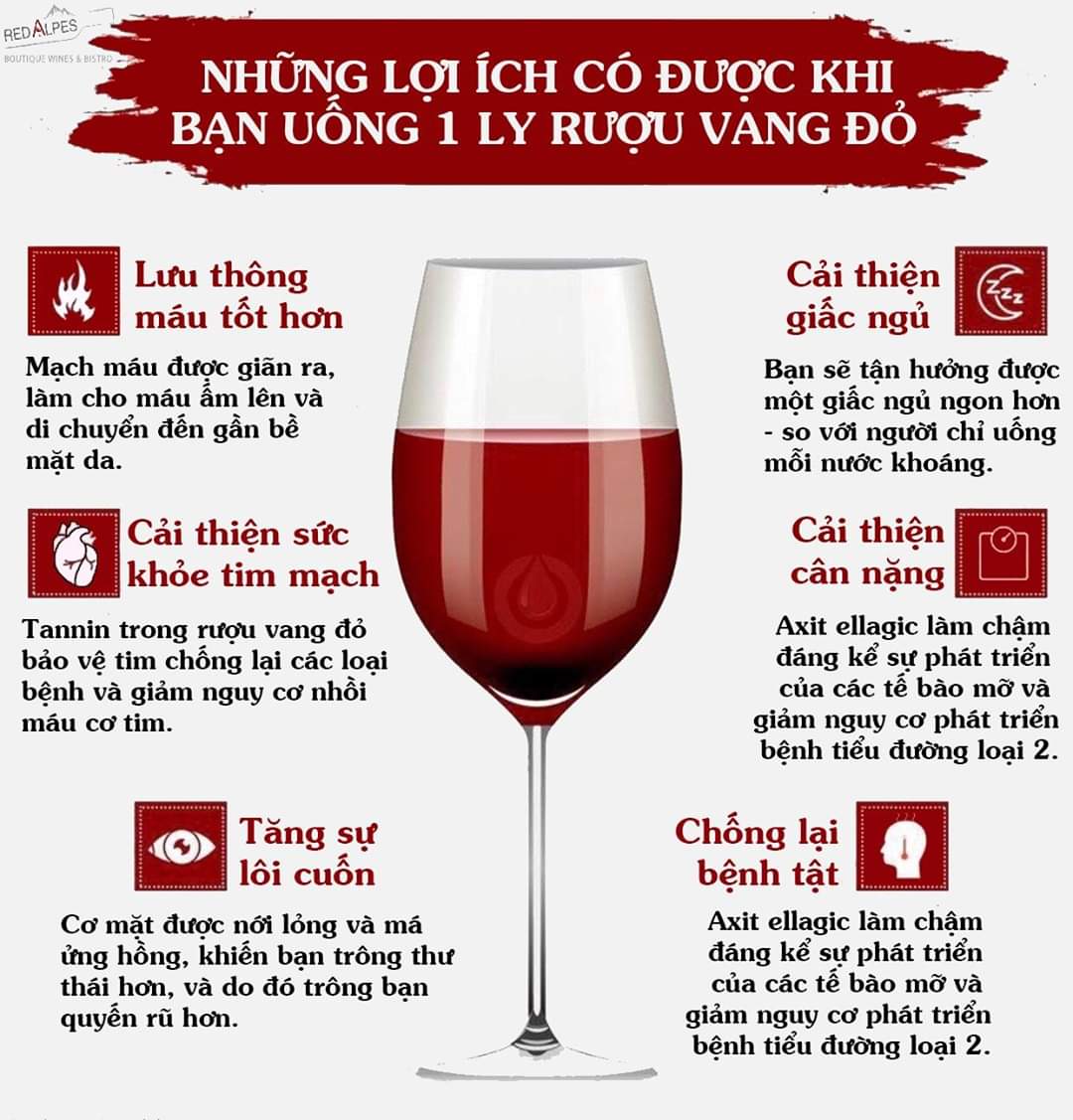 Nghề đang “hot”: Sự tinh tế, nhạy cảm của người nếm rượu vang - Ảnh 16.