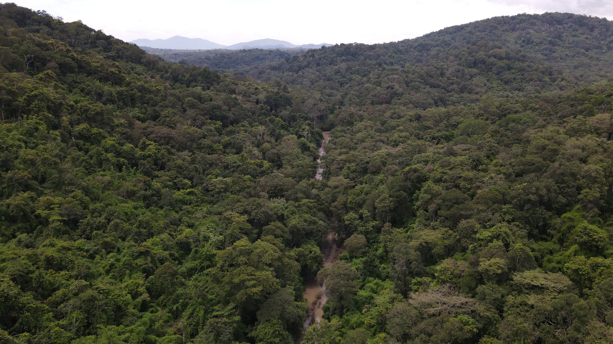 Bình Thuận lý giải vì sao phải lấy hơn 600 ha rừng làm hồ Ka Pét - Ảnh 8.