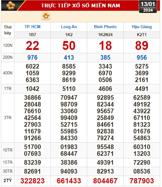 Kết quả xổ số hôm nay (13-1): TP HCM, Long An, Bình Phước, Hậu Giang, Đà Nẵng, Nam Định- Ảnh 1.