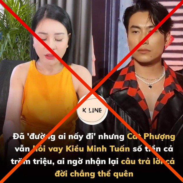 Nghệ sĩ Việt bức xúc vì tin đồn thất thiệt- Ảnh 5.