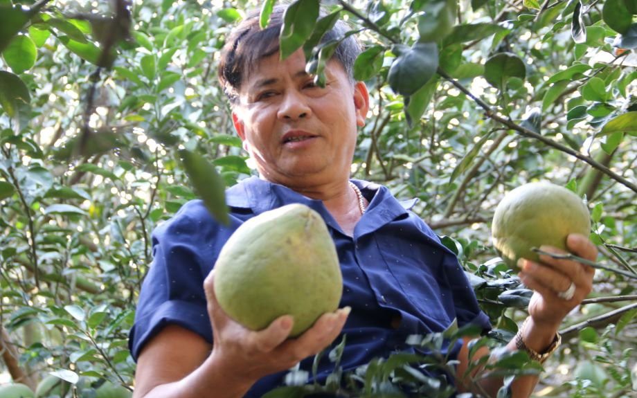 M&ocirc; h&igrave;nh l&agrave;ng th&ocirc;ng minh v&agrave; x&atilde; thương mại điện tử th&uacute;c đẩy kinh tế n&ocirc;ng th&ocirc;n 4 . 0 - Ảnh 2.